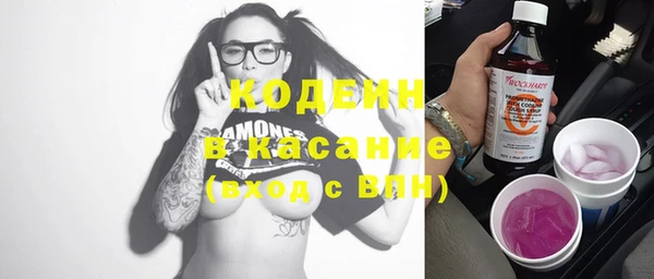 индика Балабаново