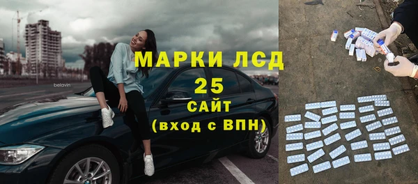 индика Балабаново