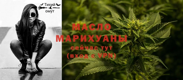 индика Балабаново
