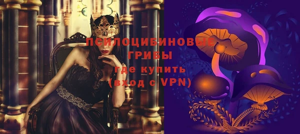 индика Балабаново