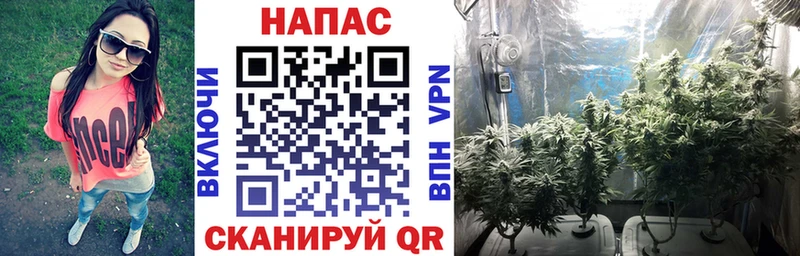 blacksprut вход  Плавск  Шишки марихуана VHQ 